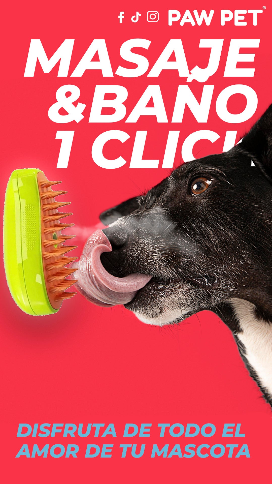 Cepillo: PetMe® Brush