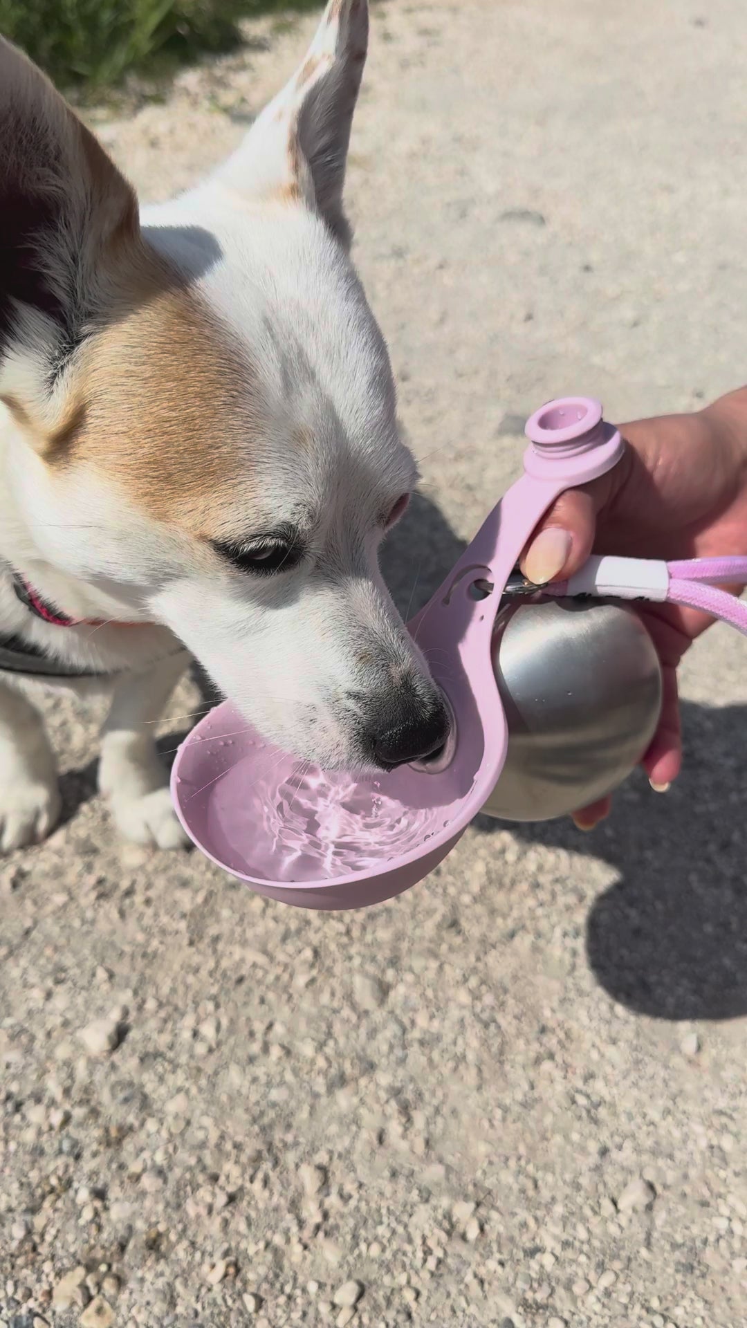 PawPet AquaFlow™